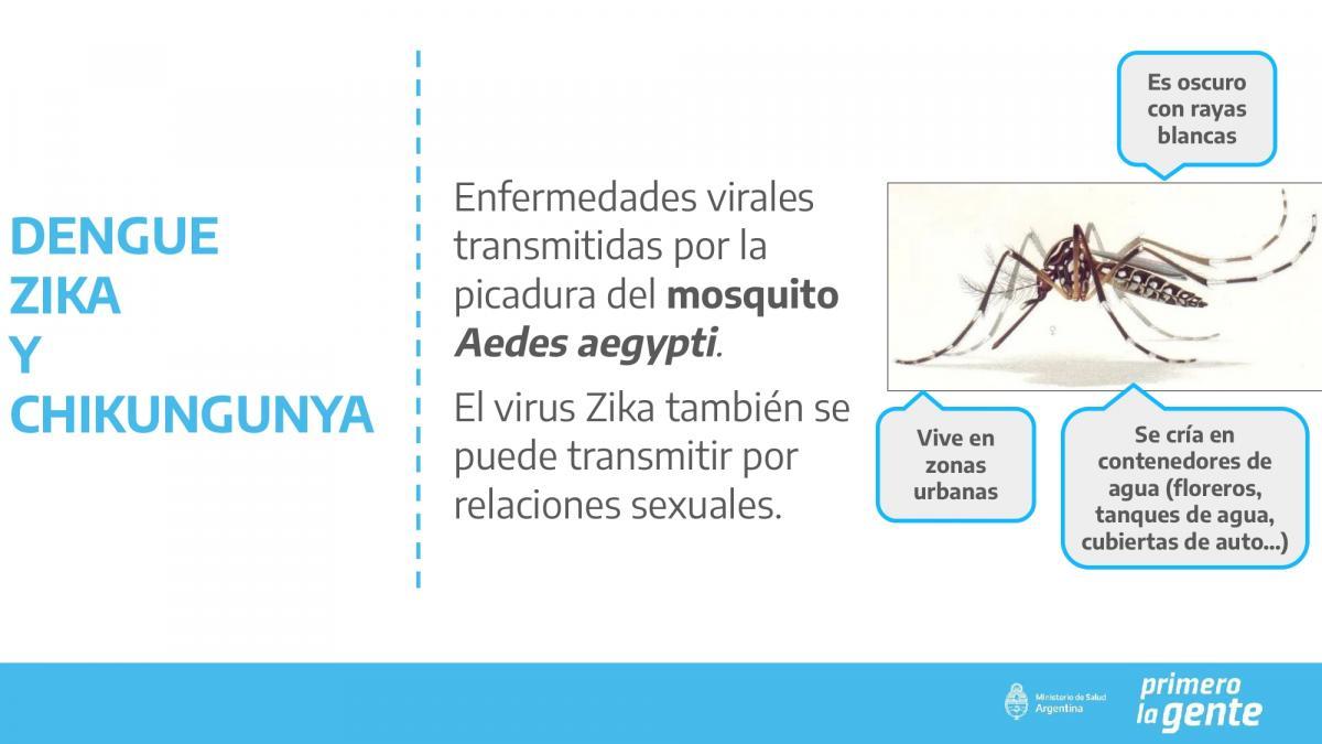 Capacitación Dengue Webinar 24-10-22 page-0003